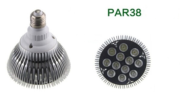 12W LED Par Light PAR38